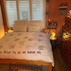 Kamer met een Queen Size Bed